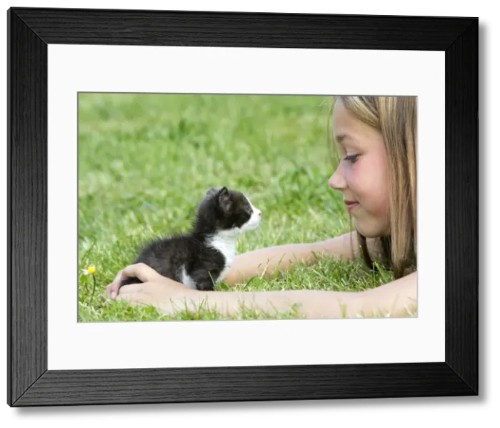 Framed Print : Picture No. 10781837 Framed Print : Picture No. 10781837