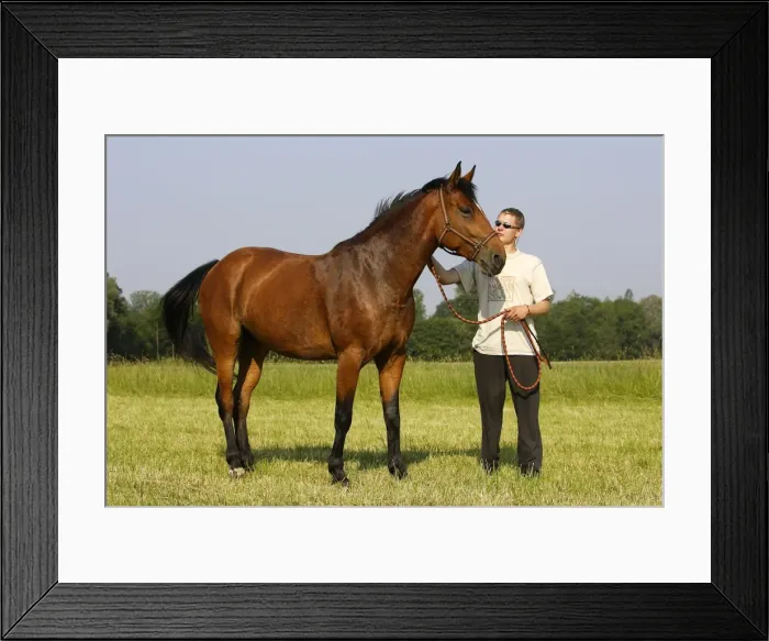 Framed Print : Picture No. 10781862 Framed Print : Picture No. 10781862