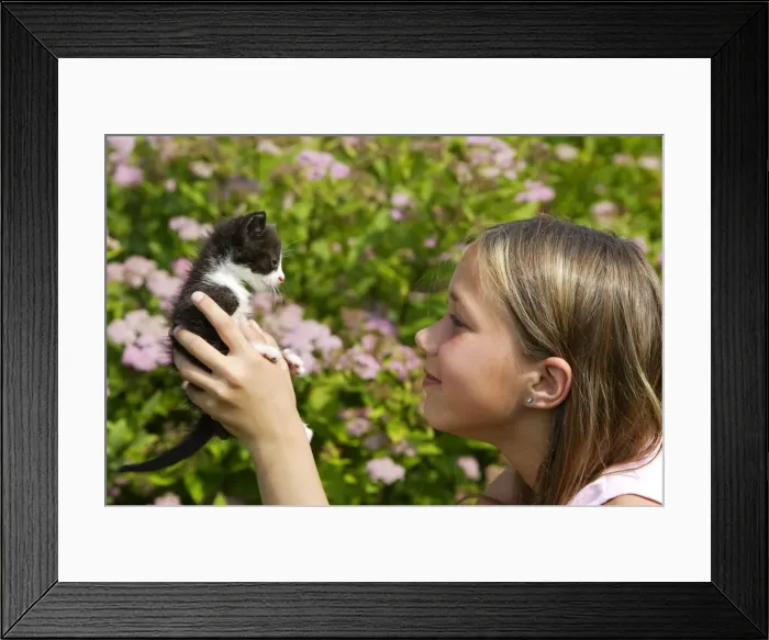 Framed Print : Picture No. 10781833 Framed Print : Picture No. 10781833