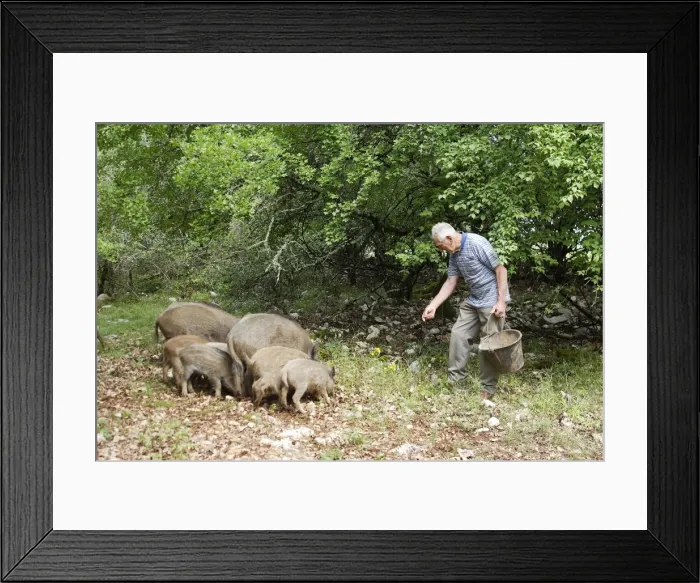 Framed Print : Picture No. 10781910 Framed Print : Picture No. 10781910