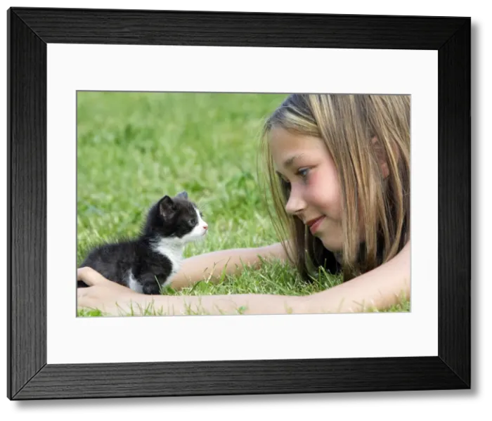 Framed Print : Picture No. 10781835 Framed Print : Picture No. 10781835