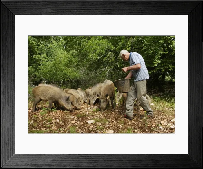 Framed Print : Picture No. 10781911 Framed Print : Picture No. 10781911