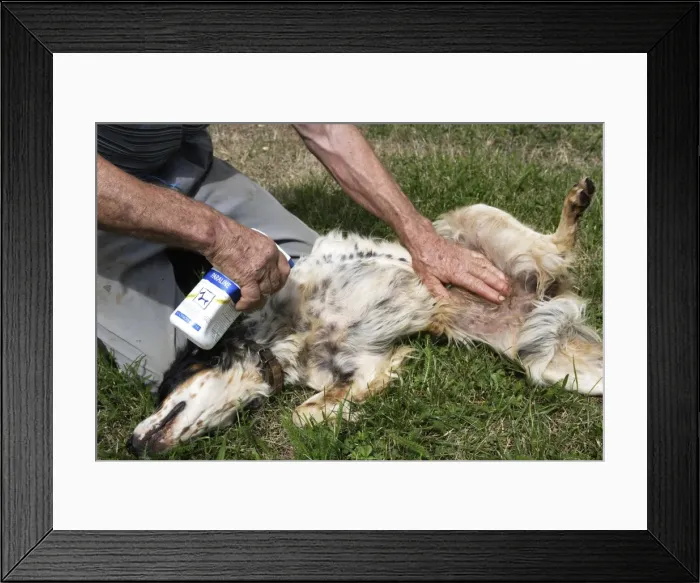 Framed Print : Picture No. 10781994 Framed Print : Picture No. 10781994