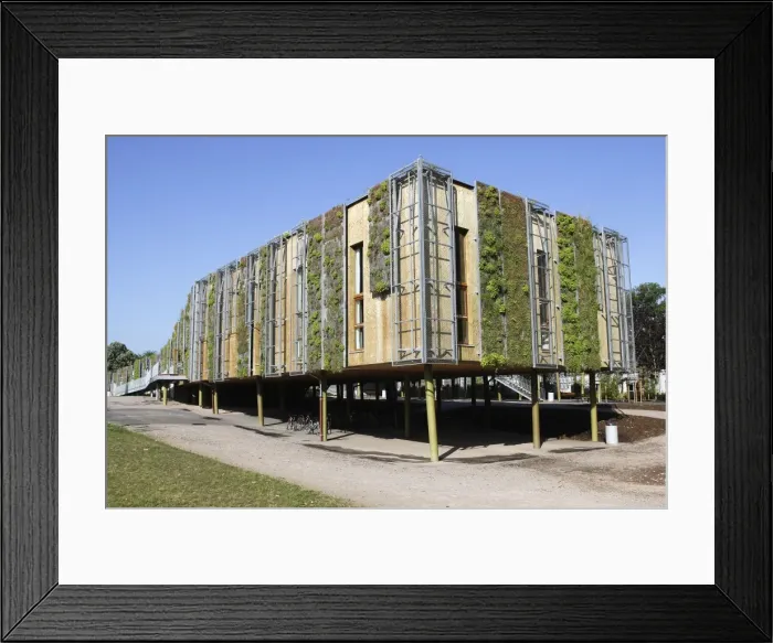 Framed Print : Picture No. 10782019 Framed Print : Picture No. 10782019