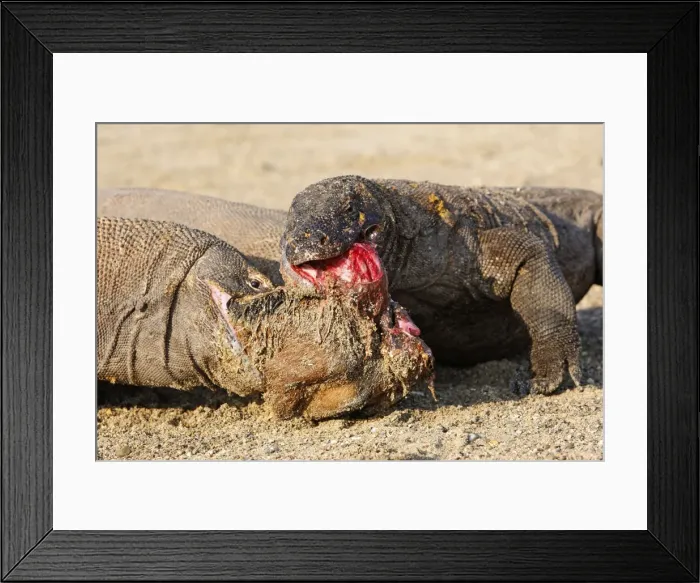 Framed Print : Picture No. 10782214 Framed Print : Picture No. 10782214