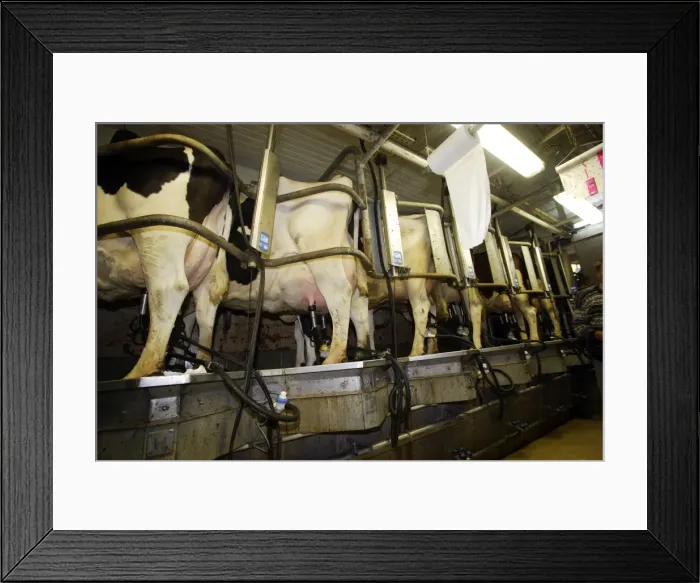 Framed Print : Picture No. 10782029 Framed Print : Picture No. 10782029