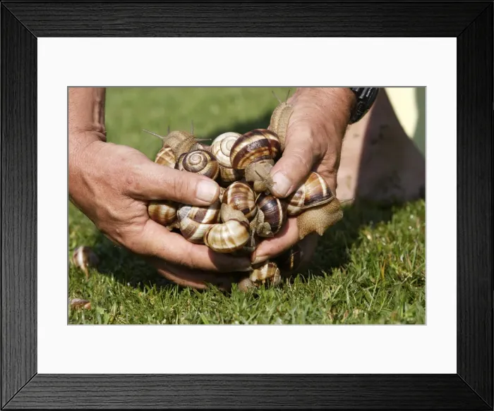 Framed Print : Picture No. 10781952 Framed Print : Picture No. 10781952