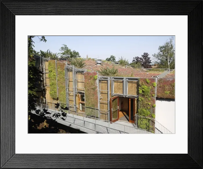 Framed Print : Picture No. 10782020 Framed Print : Picture No. 10782020