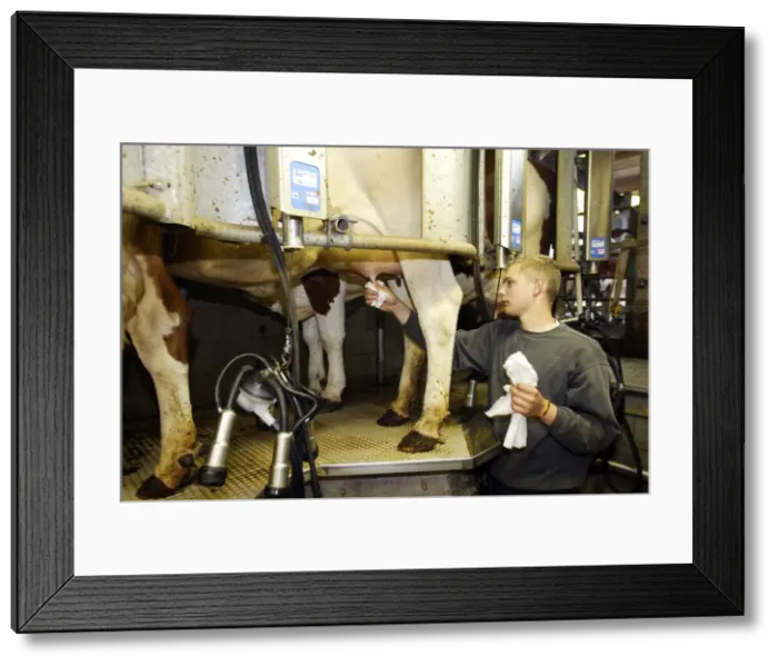 Framed Print : Picture No. 10782031 Framed Print : Picture No. 10782031
