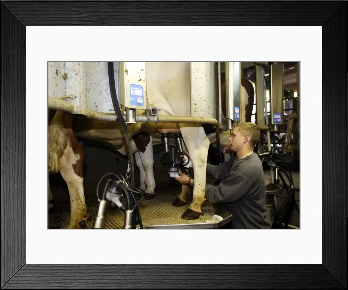 Framed Print : Picture No. 10782032 Framed Print : Picture No. 10782032