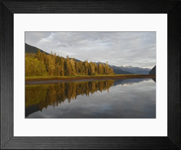 Framed Print : Picture No. 10782042