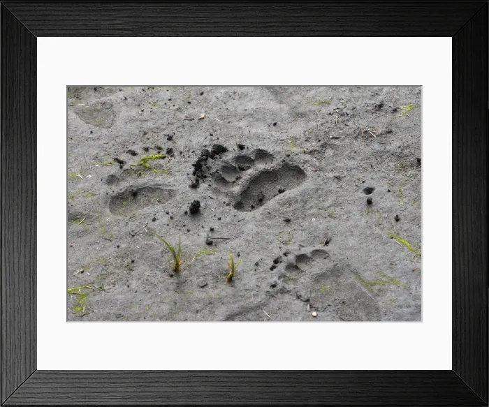 Framed Print : Picture No. 10782115 Framed Print : Picture No. 10782115