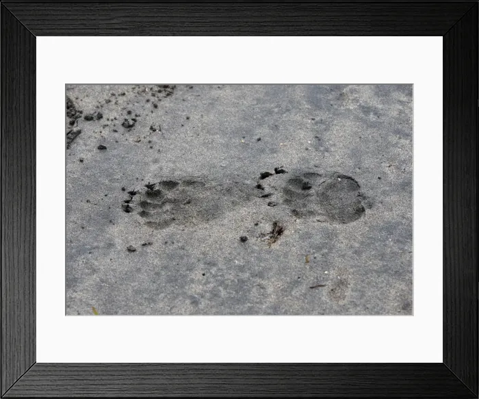 Framed Print : Picture No. 10782101 Framed Print : Picture No. 10782101