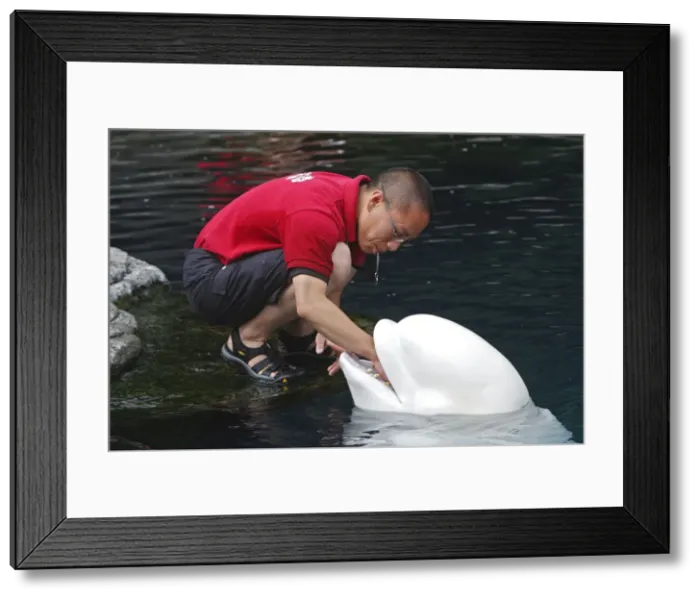 Framed Print : Picture No. 10782151 Framed Print : Picture No. 10782151