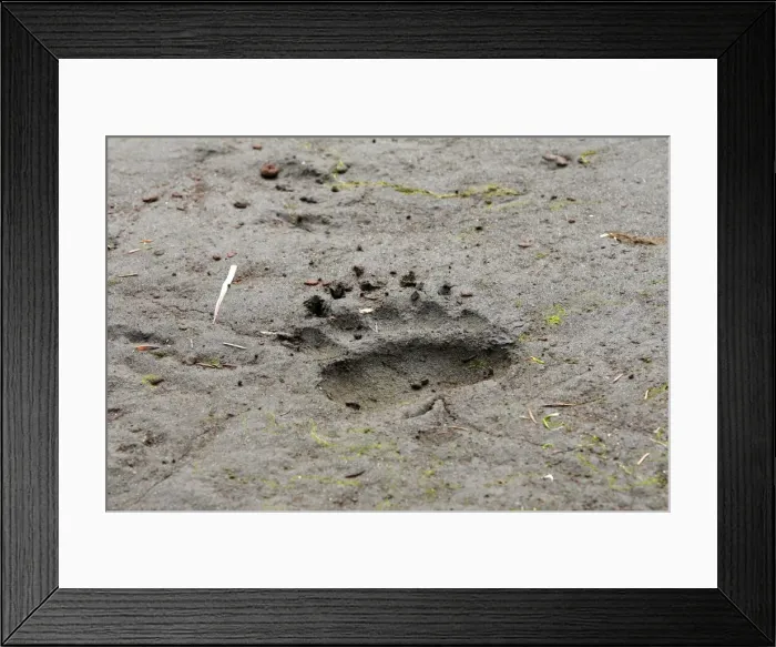 Framed Print : Picture No. 10782116 Framed Print : Picture No. 10782116