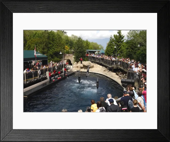 Framed Print : Picture No. 10782164