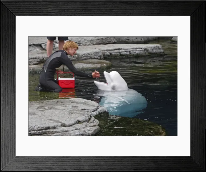 Framed Print : Picture No. 10782152 Framed Print : Picture No. 10782152