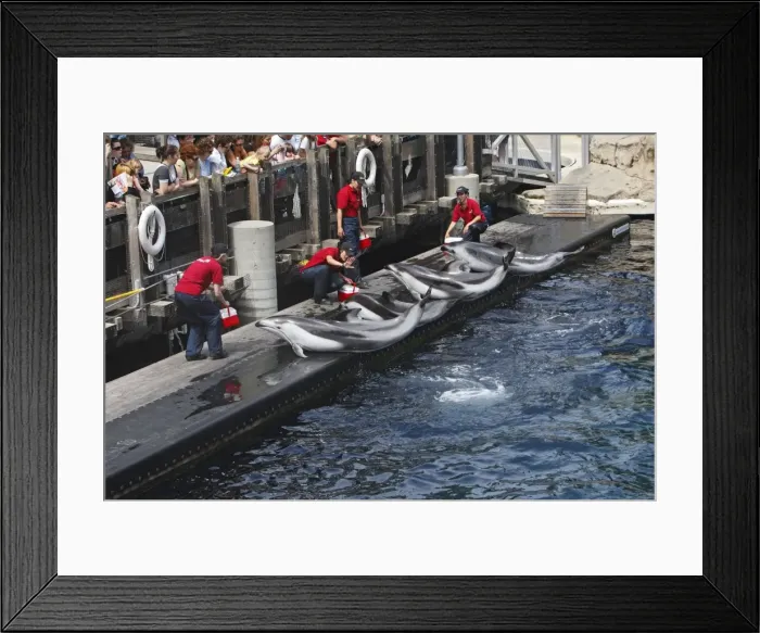 Framed Print : Picture No. 10782165 Framed Print : Picture No. 10782165