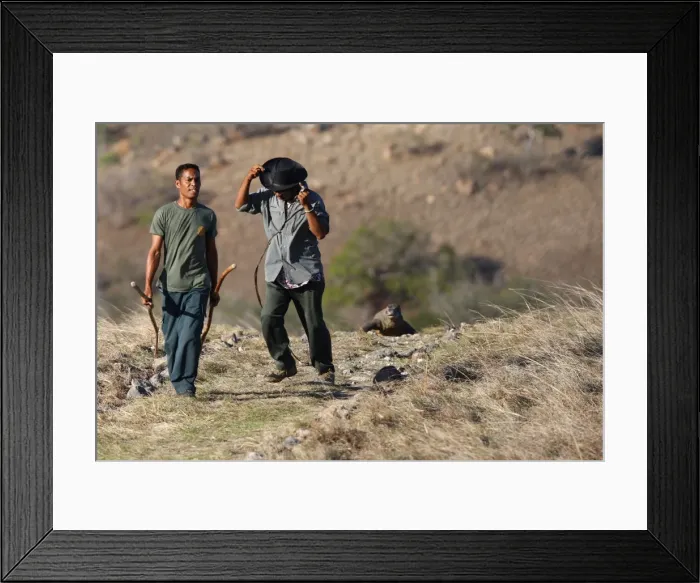 Framed Print : Picture No. 10782206 Framed Print : Picture No. 10782206
