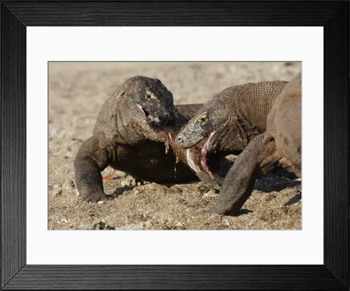 Framed Print : Picture No. 10782211 Framed Print : Picture No. 10782211