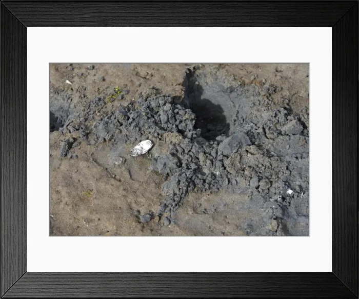 Framed Print : Picture No. 10782140 Framed Print : Picture No. 10782140