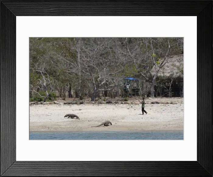 Framed Print : Picture No. 10782210 Framed Print : Picture No. 10782210