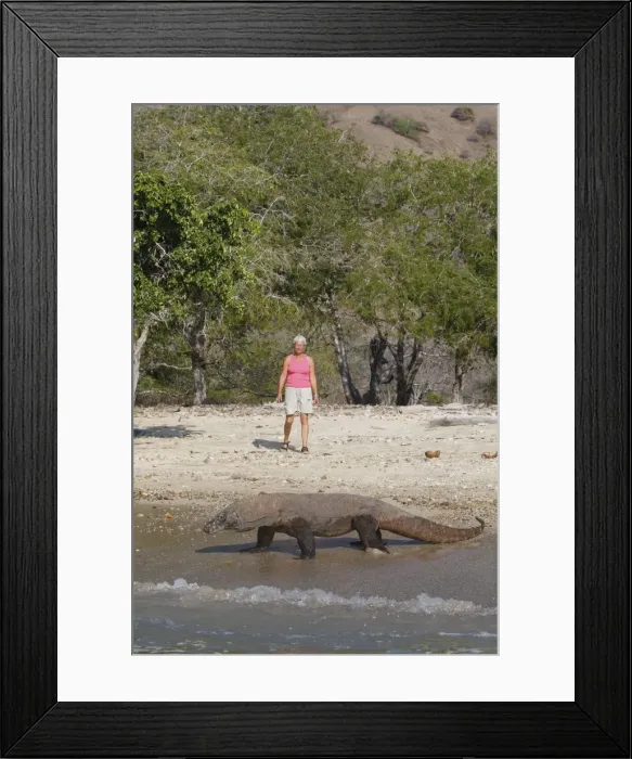 Framed Print : Picture No. 10782241
