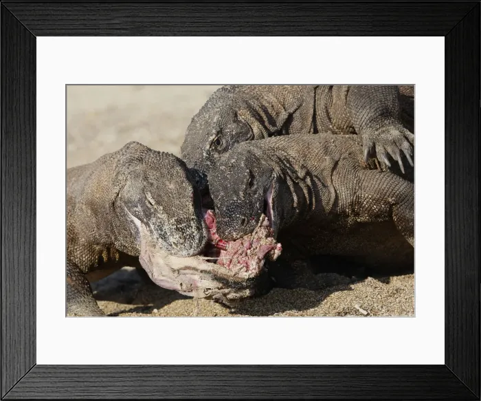 Framed Print : Picture No. 10782212 Framed Print : Picture No. 10782212