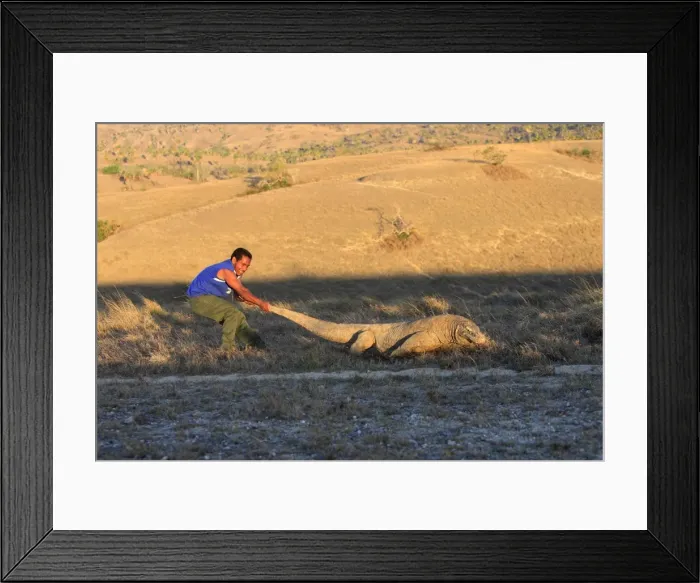 Framed Print : Picture No. 10782264 Framed Print : Picture No. 10782264