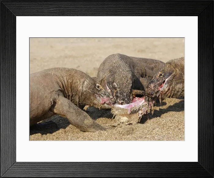 Framed Print : Picture No. 10782215 Framed Print : Picture No. 10782215