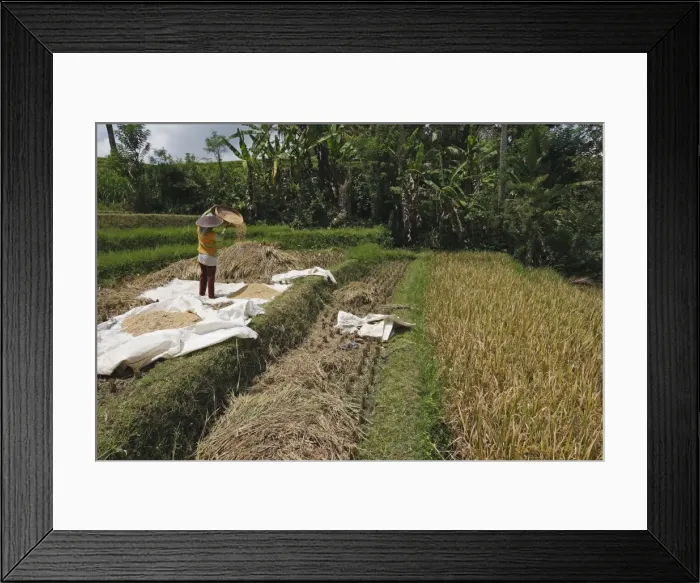 Framed Print : Picture No. 10782326 Framed Print : Picture No. 10782326