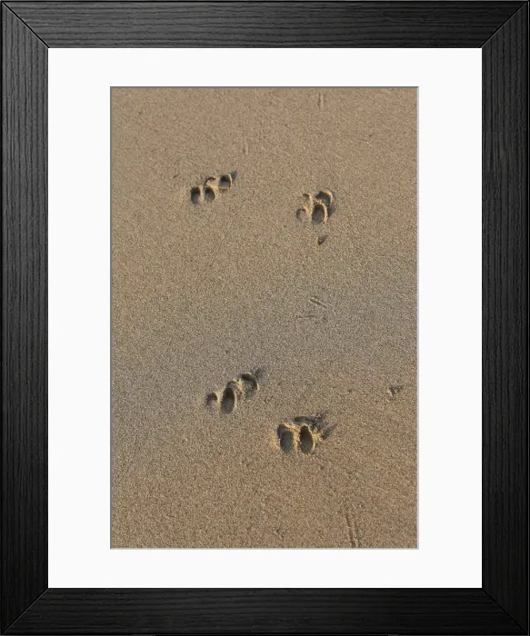 Framed Print : Picture No. 10782283 Framed Print : Picture No. 10782283