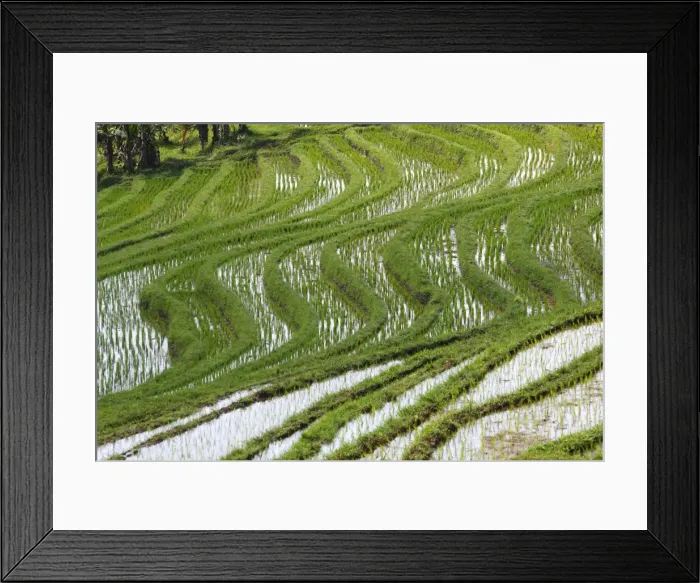 Framed Print : Picture No. 10782340 Framed Print : Picture No. 10782340