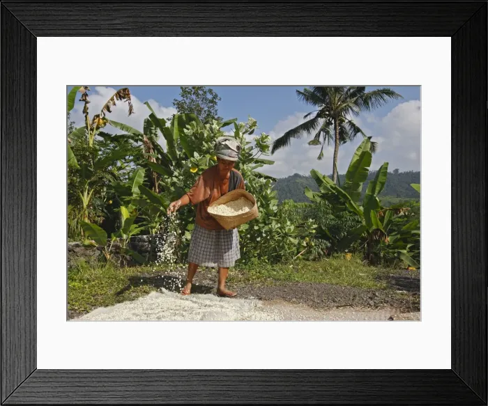 Framed Print : Picture No. 10782343 Framed Print : Picture No. 10782343