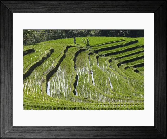 Framed Print : Picture No. 10782338 Framed Print : Picture No. 10782338