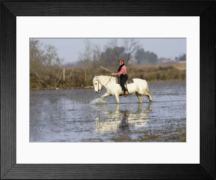 Framed Print : Picture No. 10782535 Framed Print : Picture No. 10782535