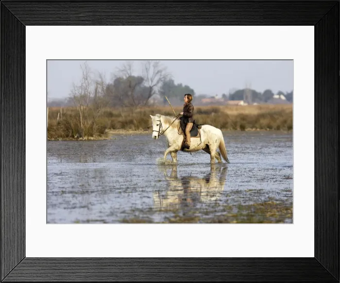 Framed Print : Picture No. 10782536 Framed Print : Picture No. 10782536