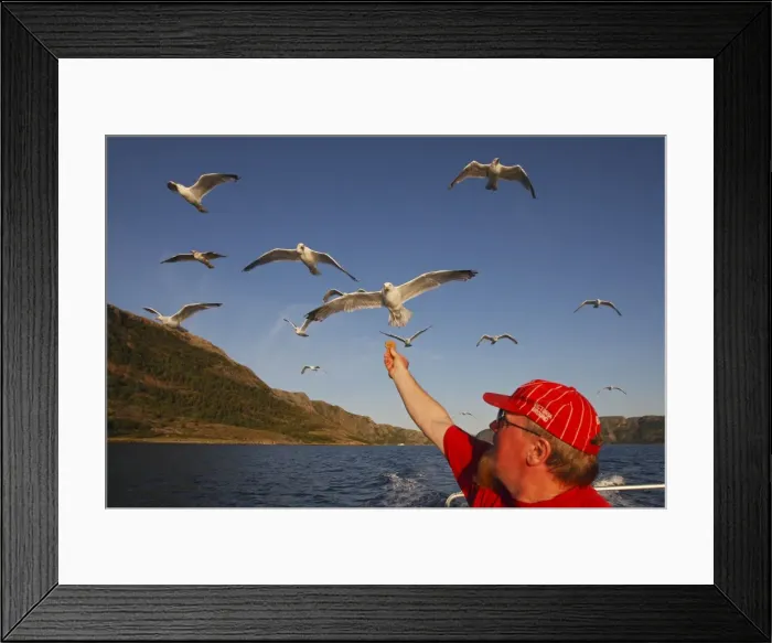 Framed Print : Picture No. 10782456 Framed Print : Picture No. 10782456