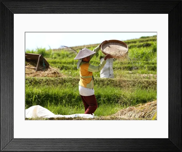 Framed Print : Picture No. 10782341 Framed Print : Picture No. 10782341
