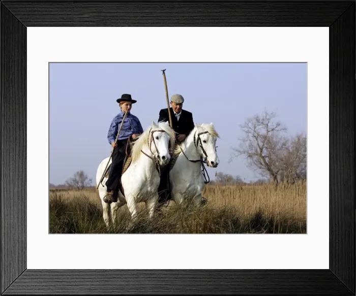 Framed Print : Picture No. 10782538 Framed Print : Picture No. 10782538