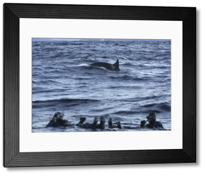 Framed Print : Picture No. 10782598 Framed Print : Picture No. 10782598