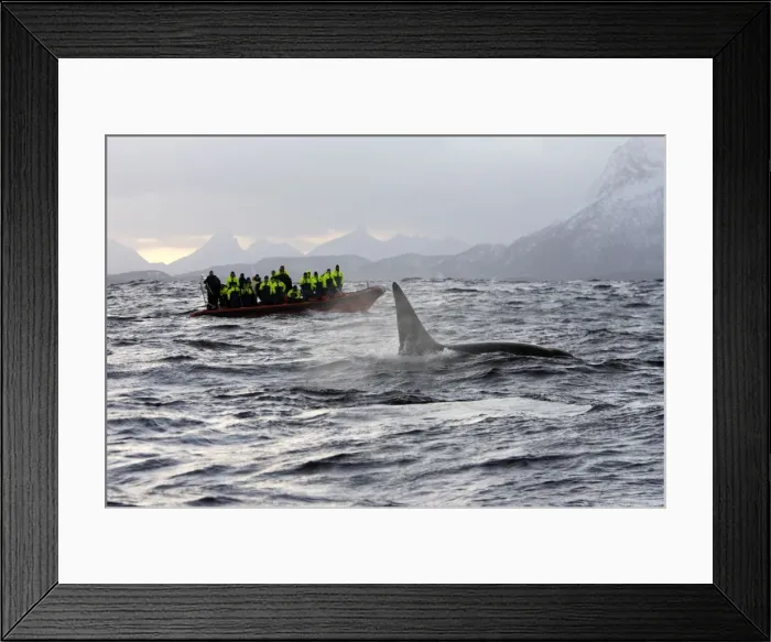 Framed Print : Picture No. 10782604 Framed Print : Picture No. 10782604