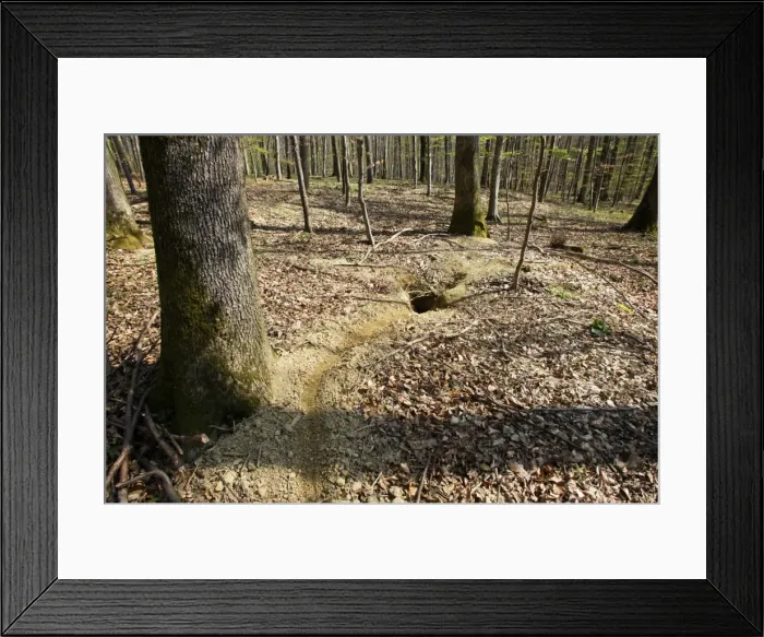 Framed Print : Picture No. 10782630 Framed Print : Picture No. 10782630