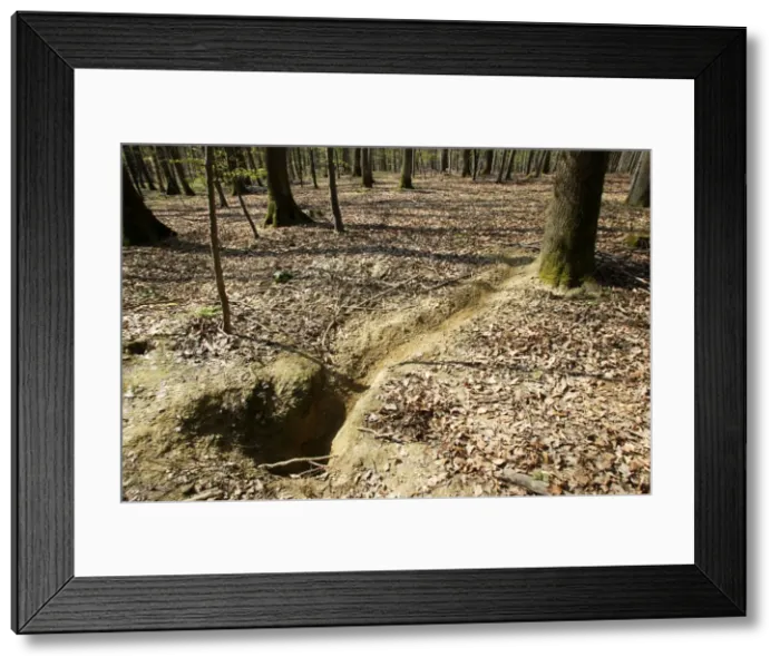 Framed Print : Picture No. 10782629 Framed Print : Picture No. 10782629