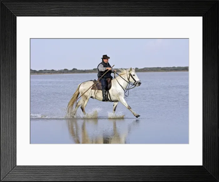 Framed Print : Picture No. 10782721 Framed Print : Picture No. 10782721