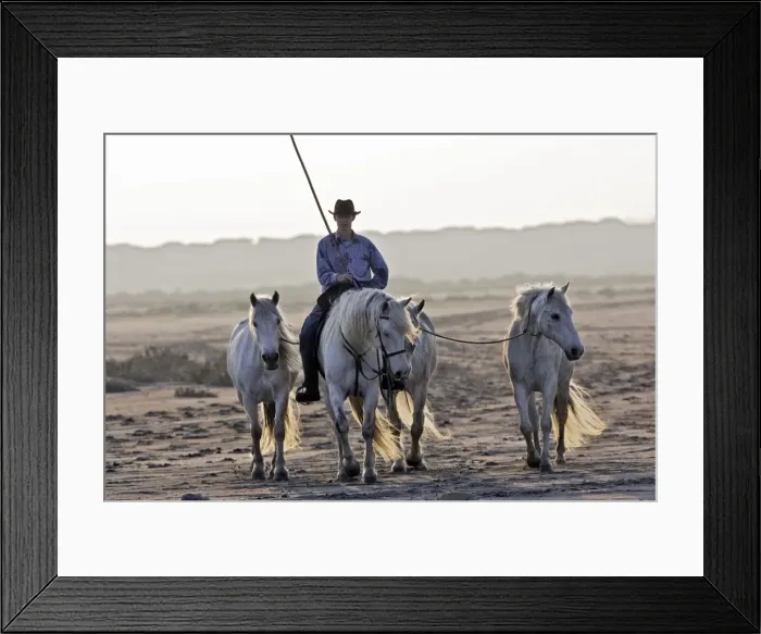 Framed Print : Picture No. 10782724 Framed Print : Picture No. 10782724