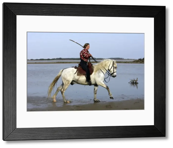 Framed Print : Picture No. 10782722 Framed Print : Picture No. 10782722