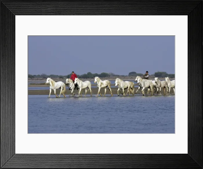 Framed Print : Picture No. 10782723 Framed Print : Picture No. 10782723