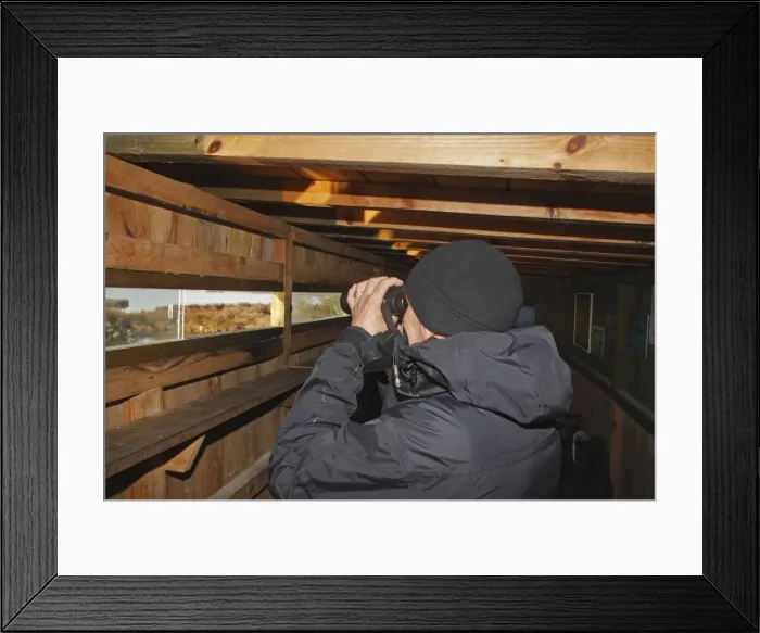 Framed Print : Picture No. 10782838 Framed Print : Picture No. 10782838