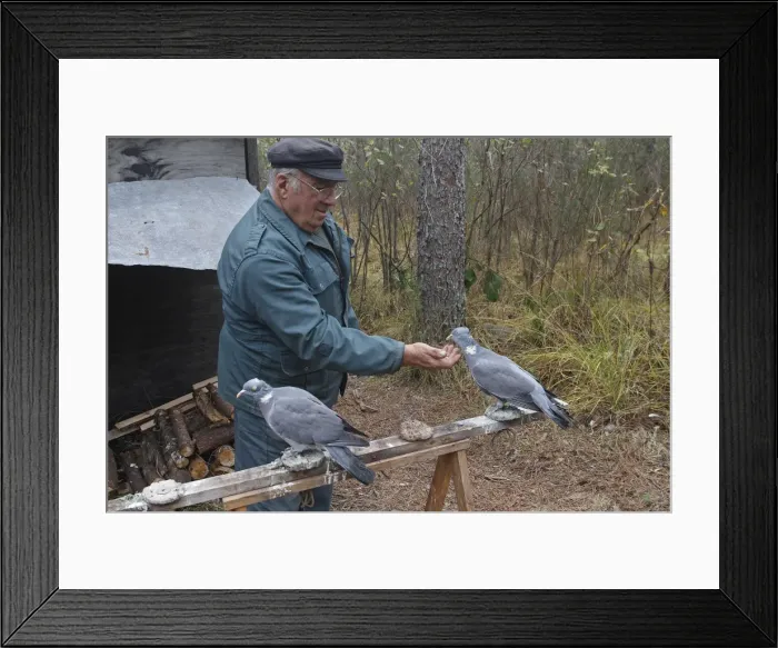 Framed Print : Picture No. 10782784 Framed Print : Picture No. 10782784
